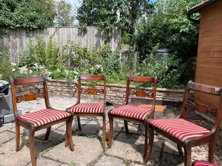 Photo of free Classic dining chairs (Steventon OX13) #1