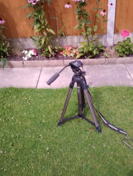 Photo of free Camera tripod (wallasey CH45) #1