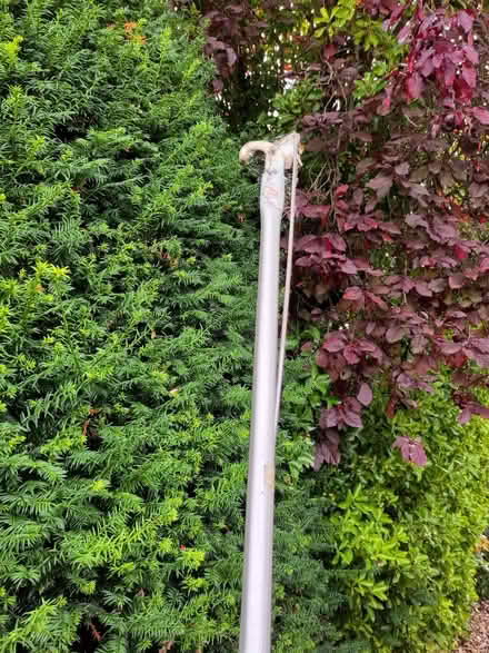 Photo of free Long handled pruner (Caversham Heights RG4) #2