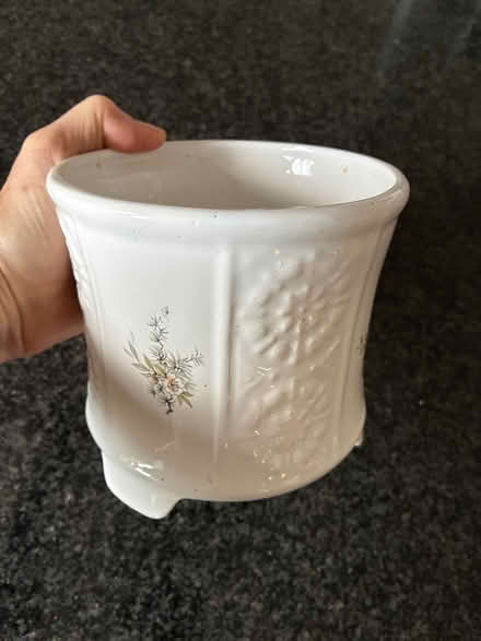Photo of free House plant pot (Costessey NR8) #2