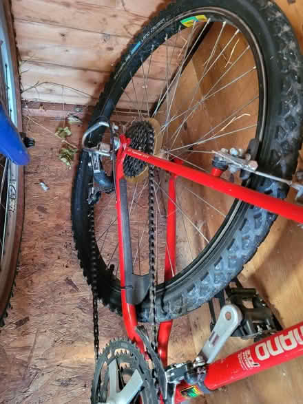 Photo of free Retro bike (Bishopstoke SO50) #3