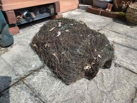 Photo of free Hedgehog House (Woodley RG5) #1