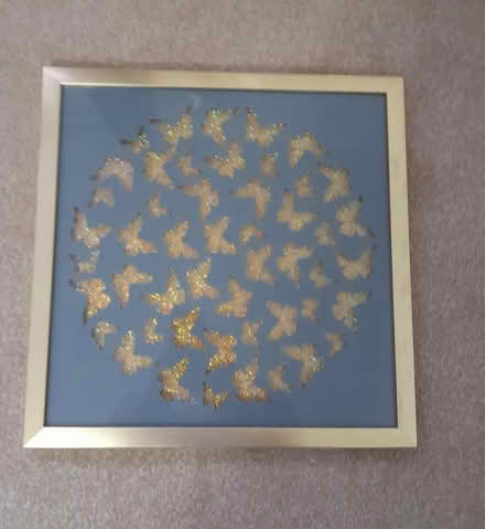 Photo of free 2 Butterfly framed pictures (Holmewood S42) #3