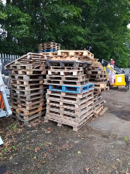 Photo of free Wooden Pallets (Appleby-in-Westmorland CA16) #1
