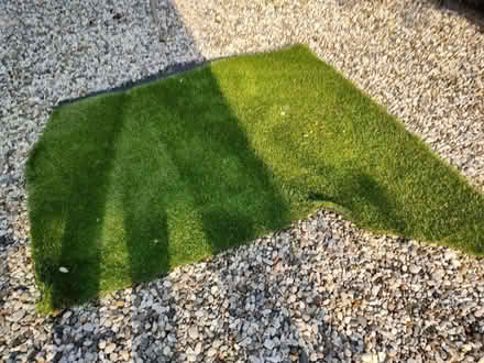 Photo of free Oddment of artificial grass (Eaton Bray LU6) #1