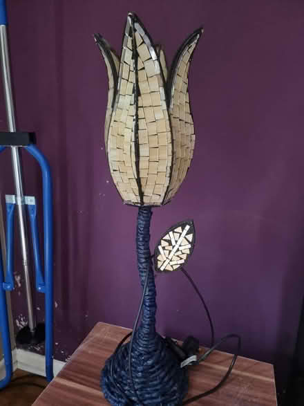 Photo of free Lovely lamp (Farington PR25) #1