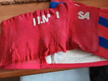 Photo of free old kidney belt (Melksham) #2