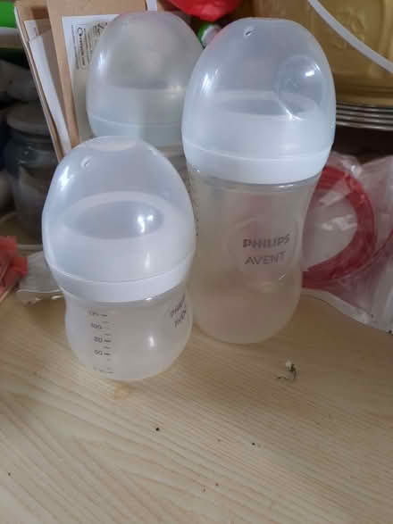 Photo of free Multiple Philips avent baby bottles, no teats (Caldecott OX14) #1