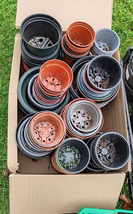 Photo of free Plant pots, various sizes (Aldershot) #4