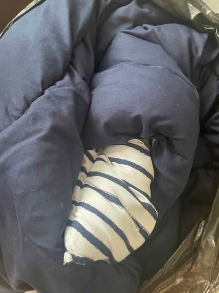 Photo of free Coverless duvet (Shinfield RG2) #1