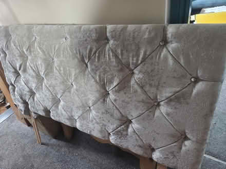 Photo of free Velvet double headboard (LE8 Whetstone, Leicester) #2