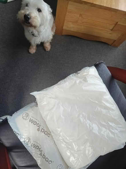 Photo of Padded packaging from Mounjaro (Sharples BL1) #1