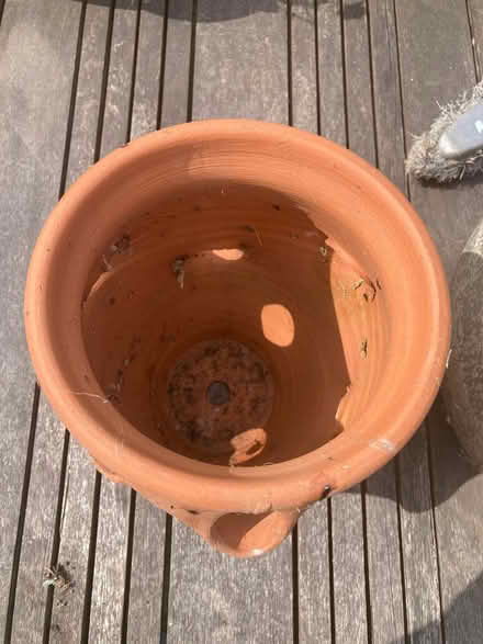 Photo of free Terracotta Herb Pot (CM12) #3