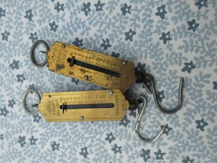 Photo of free Spring Balances (Woodley RG5) #1