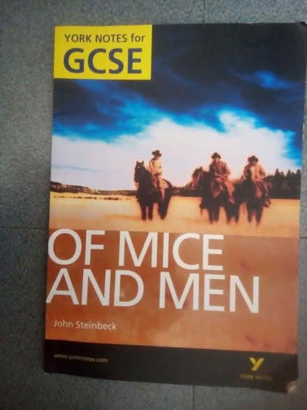 Photo of free GCSE English OF MICE AND MEN (Bromley BR2) #1