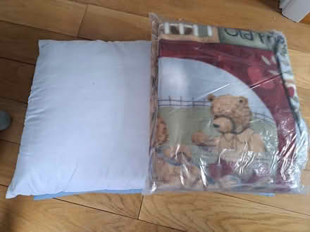 Photo of free Pillows and throw (Stapleford Nottingham) #1