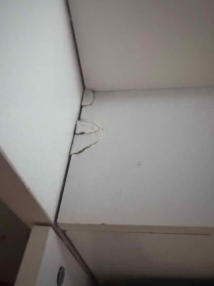 Photo of free Bunk beds (Llnyclys) #4