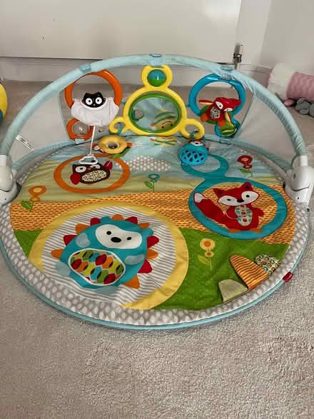 Photo of free Skip hop play gym (Pinner HA5) #1