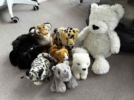 Photo of free Soft toys (Hampton TW12) #1