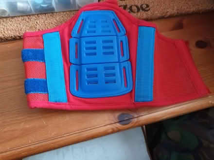 Photo of free old kidney belt (Melksham) #1