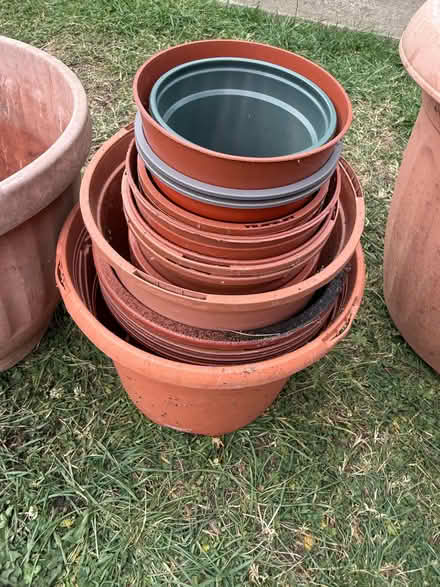 Photo of free Assortment of plant pots (Harold Hill RM3) #4