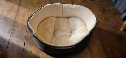 Photo of free Dog bed (New Bradwell MK13) #1