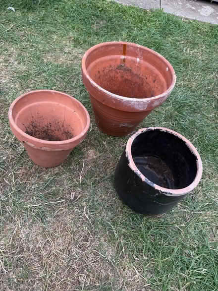 Photo of free 3x Terracotta plant pots (Harold Hill RM3) #1