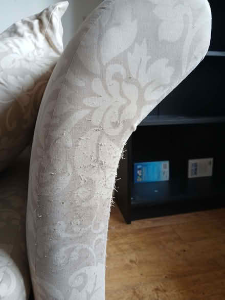 Photo of free Sofa bed (Woodley RG5) #4