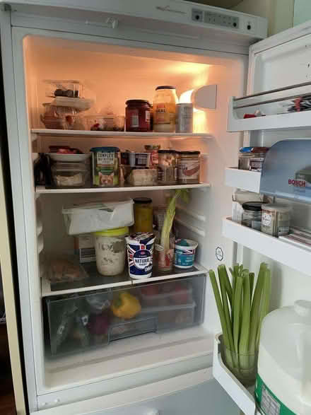 Photo of free Bosch Fridge Freezer (Kennington SW8) #3