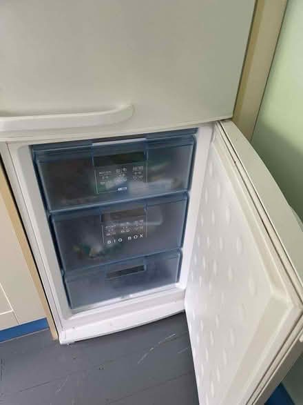 Photo of free Bosch Fridge Freezer (Kennington SW8) #2
