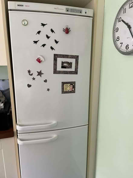 Photo of free Bosch Fridge Freezer (Kennington SW8) #1