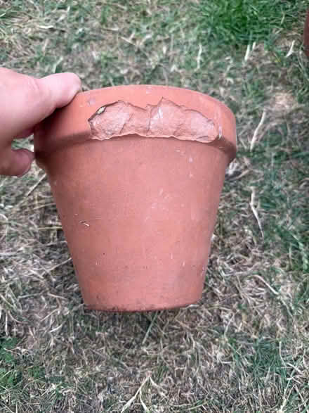 Photo of free 3x Terracotta plant pots (Harold Hill RM3) #4