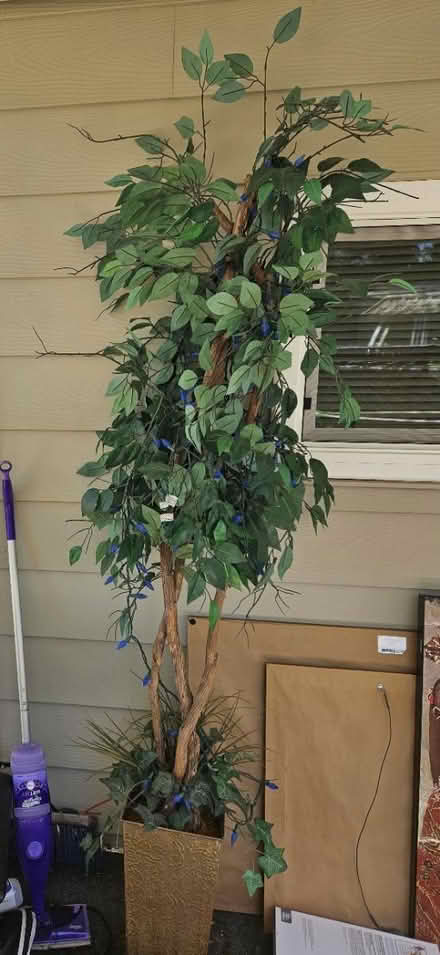 Photo of free Artificial tree, lamps, area rugs (4201 n 1st street) #1