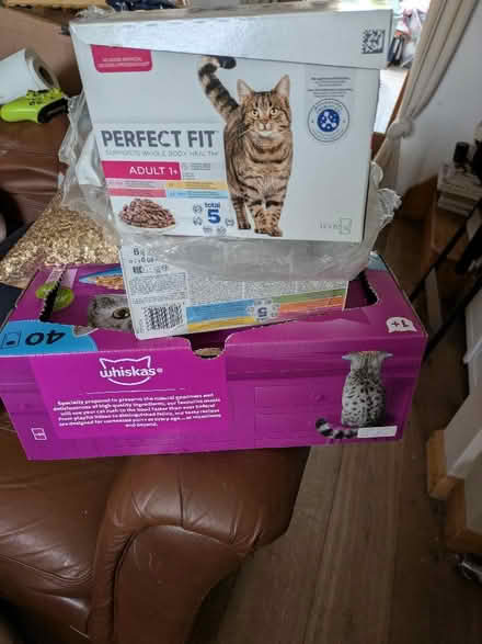Photo of free Assorted cat food (Freehold LA1) #1