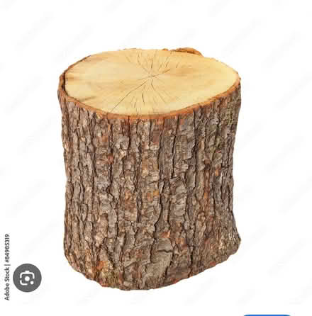 Photo of Log stumps (Hoddesdon EN11) #1