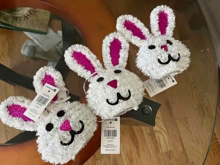 Photo of free Easter bunnies (Methuen MA on Salem NH line) #1