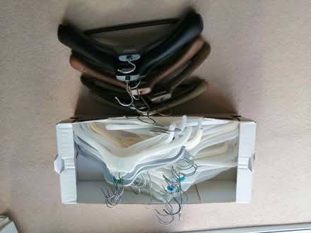 Photo of free Lots of plastic coathangers (Downend BS16) #1
