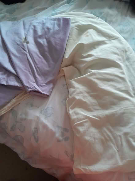 Photo of free V shaped pillow and 2 purple pillowcases (Baswich ST17) #1