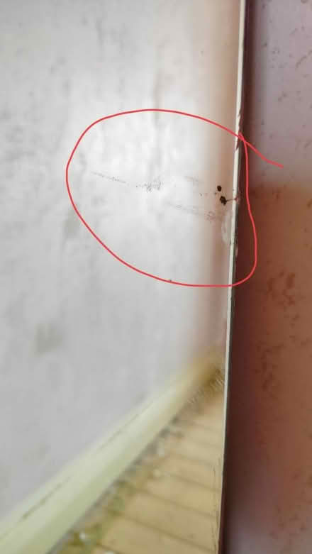 Photo of free Long mirror (Stockwood, Bristol) #2