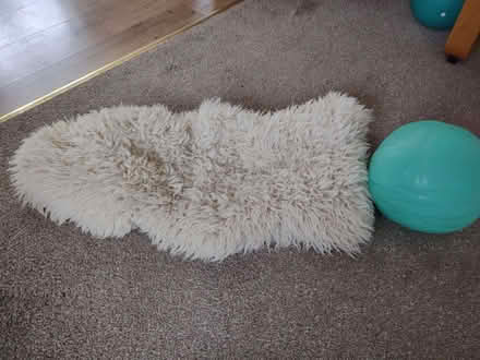 Photo of free Sheepskin (Hay on Wye HR3) #1