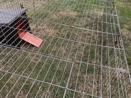 Photo of free rabbit/guinea-pig run (Bridgnorth WV16) #3