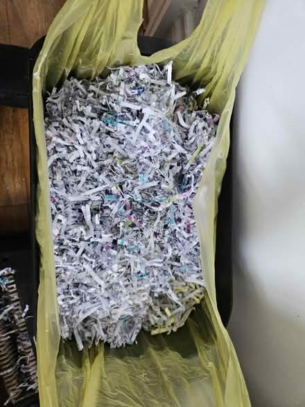 Photo of free Shredded Paper (Crosby, L23) #1