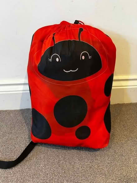 Photo of free Kids ladybird sleeping bag & pack (Hampton TW12) #2