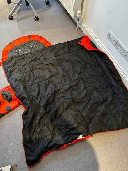 Photo of free Kids ladybird sleeping bag & pack (Hampton TW12) #4