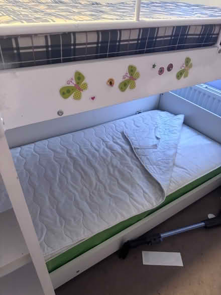 Photo of free Bunk beds (Llnyclys) #3