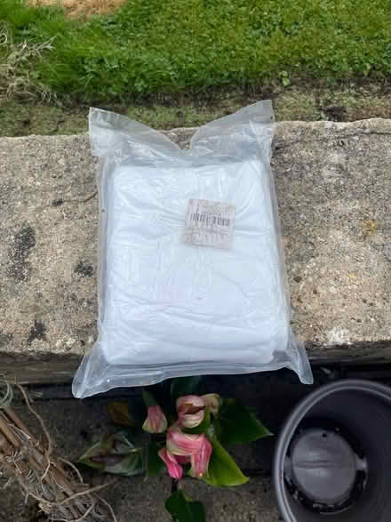 Photo of free Plant frost protection (Penrith CA11) #1
