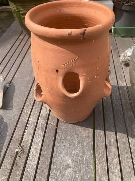 Photo of free Terracotta Herb Pot (CM12) #2