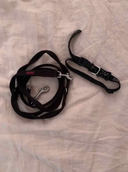 Photo of free Dog lead and collar (Crook DL15) #1
