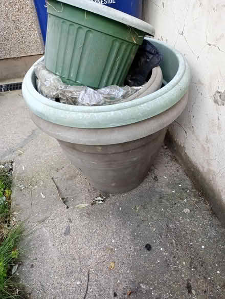 Photo of free plant pots (South shields) #1