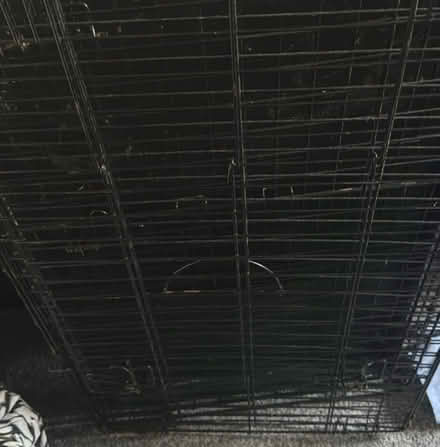 Photo of free Medium dog cage (Orton malborne) #1